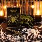 Preview: Nosferatuspinne - Im Erdreich unterm Hexenturm / Schwarze Witwe
