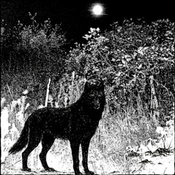 Raw Black Metal - Full Moon over the Frozen Forest