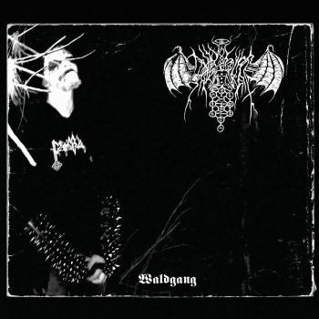 Tagirion Est Tiferet - Waldgang