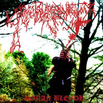 Ynkleudherhenavogyon - Honan Bleydh (LP)