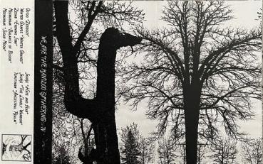 VA - We Are the Manidoo Gathering IV