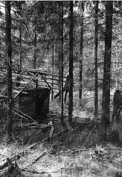 Coniferous Swamp - Mökki kasetti