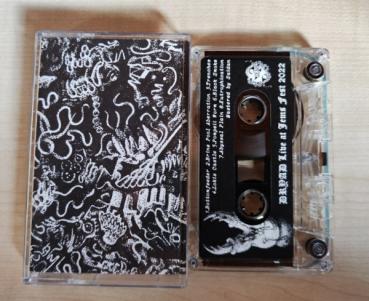 Dryad - Live at JEMS Fest 2022