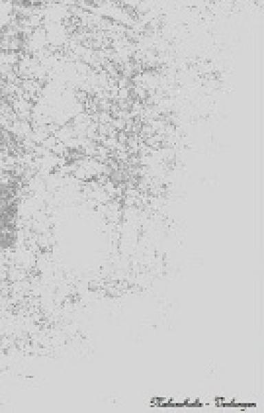 Melancholie - Verlangen