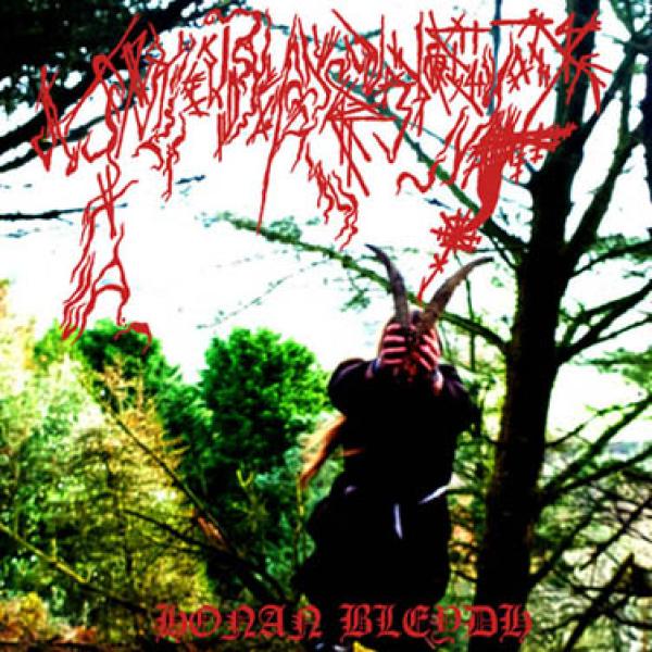 Ynkleudherhenavogyon - Honan Bleydh (LP)