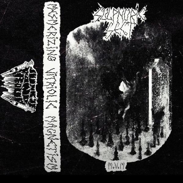 Sulphuric Sect - Mesmerizing Vitriolic Magnetism