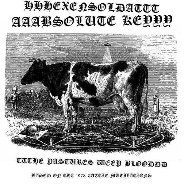 Absolute Key / Hexensoldat - The Pastures Weep Blood (Floppy)
