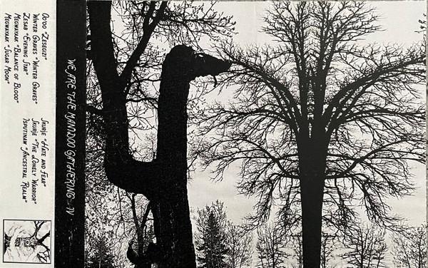 VA - We Are the Manidoo Gathering IV