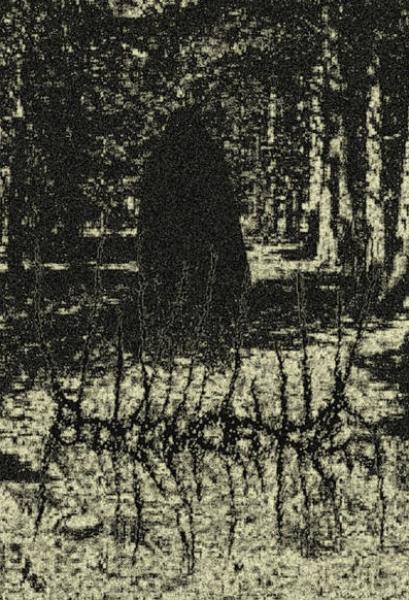 Black Wilderness - Woodland Of Incorporeal Shadows