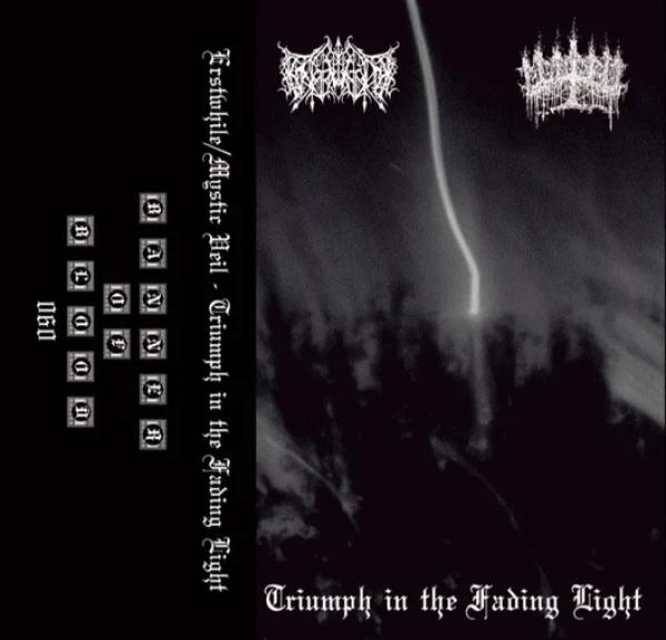 Erstwhile / Mystic Veil - Triumph in the Fading Light