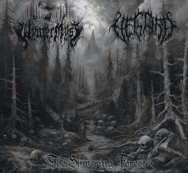 Winter Myst / Vegard - The Shivering Forest (LP)
